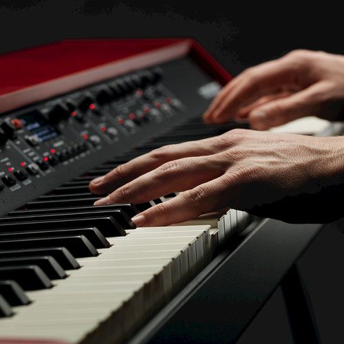 Nord-Grand-angled-hands