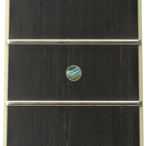 inray_of_fingerboard_ll16_f
